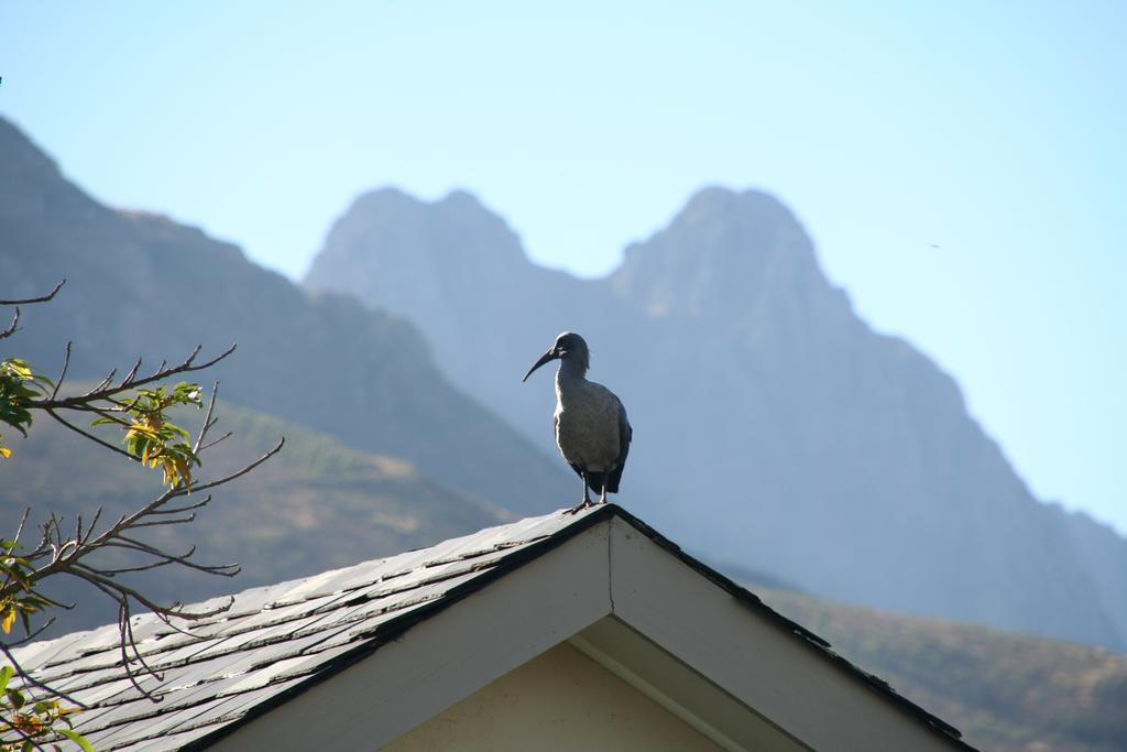 Keren'S Vine Guesthouse Stellenbosch Zewnętrze zdjęcie