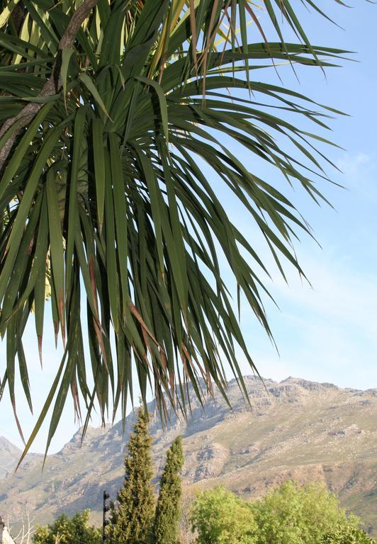 Keren'S Vine Guesthouse Stellenbosch Zewnętrze zdjęcie